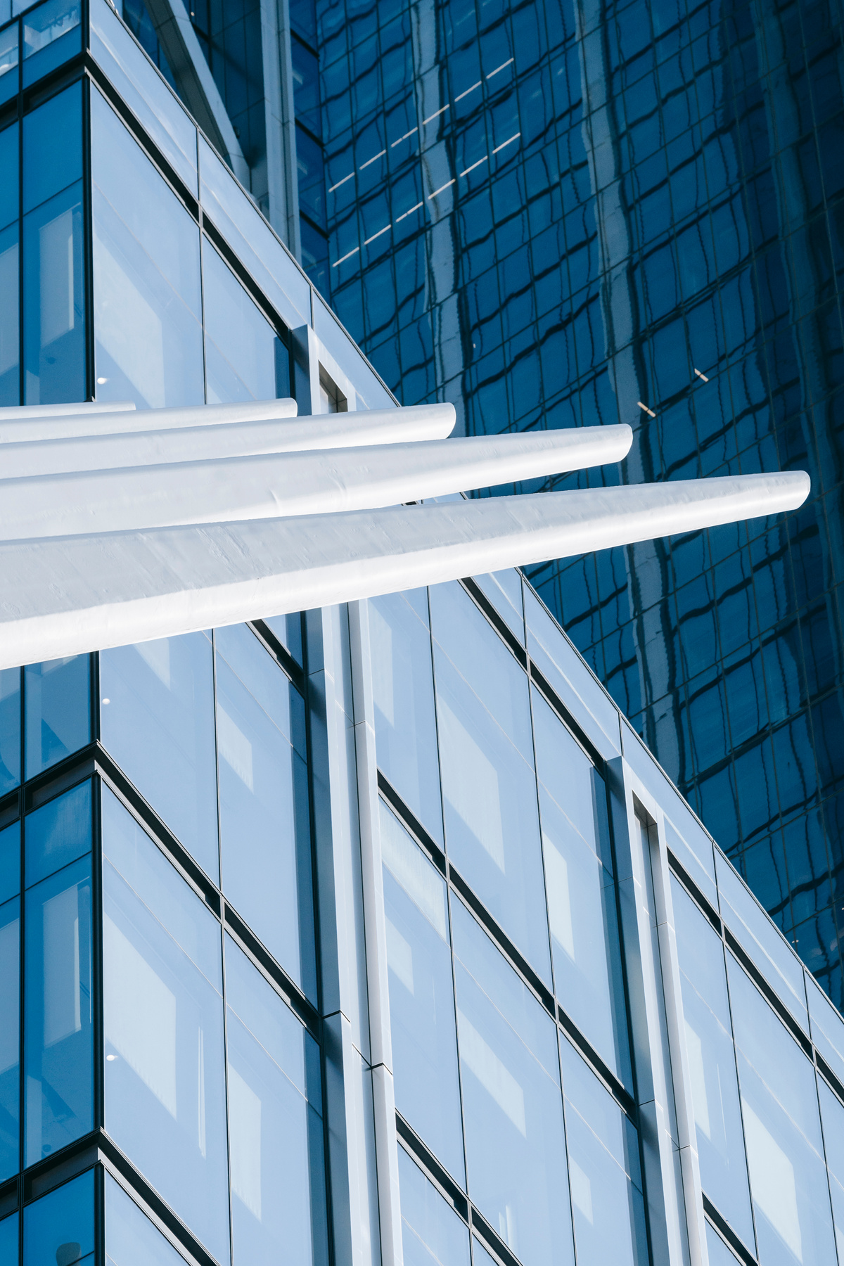 Modern glass skyscrapers in city business district